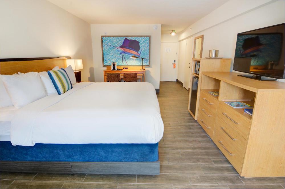Standard King Room-Pet Friendly interior